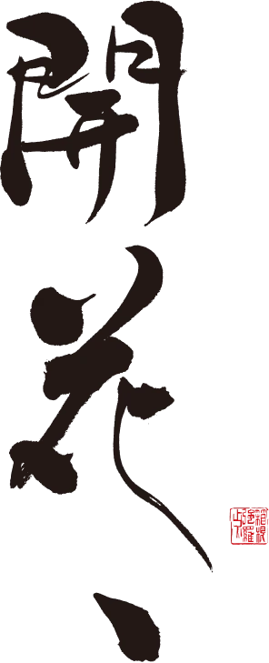 KAIKA